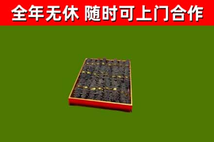 江津回收海参